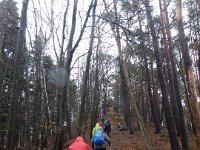 SORTIE CHATEAUX OBERSTEINBACH ET WENGELSBACH 10 03 2019 30